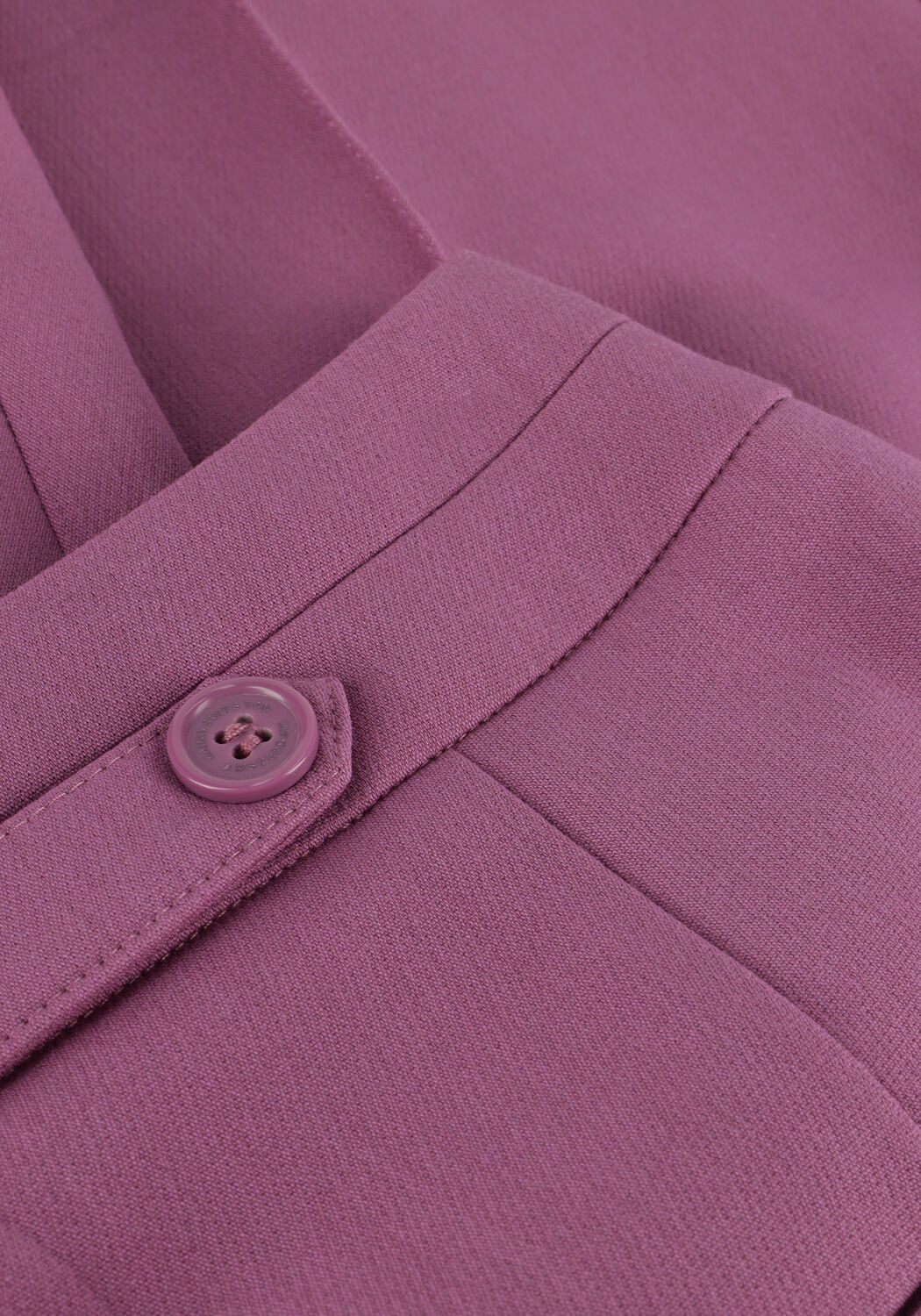 Paarse AAIKO Pantalon TARINA VIS 344 - large