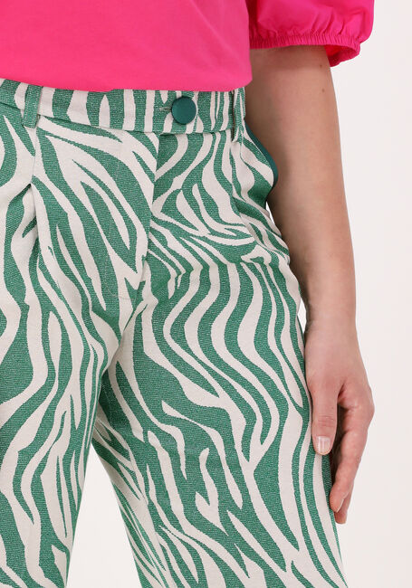 Groene SILVIAN HEACH Pantalon BUZZIP - large