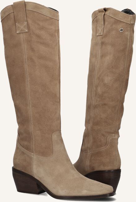 Camel NOTRE-V  AP250 Camel NOTRE-V  AP250 - large