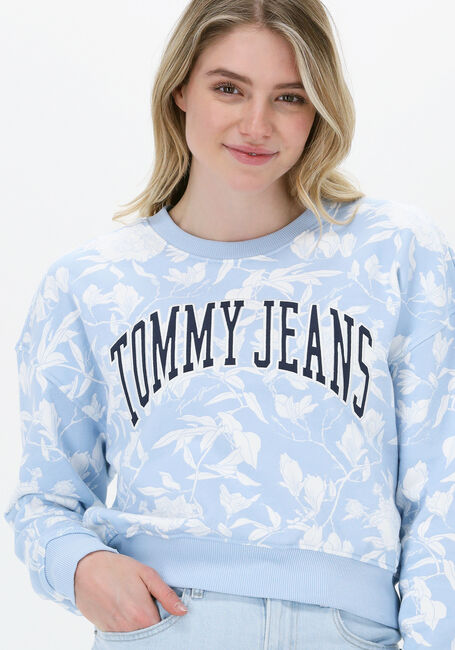 Lichtblauwe TOMMY JEANS Trui TJW AOP CREW - large