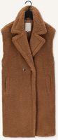 Camel NOTRE-V Gilet TEDDY GILET Camel NOTRE-V Gilet TEDDY GILET - medium