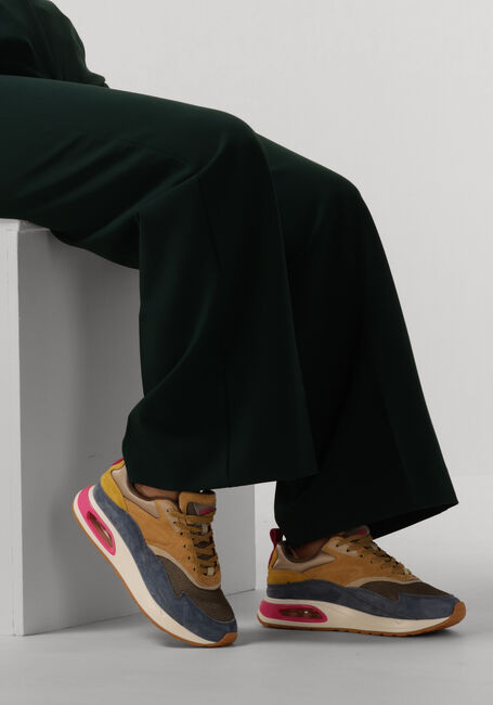 THE HOFF BRAND Baskets basses TORONTO BAY en multicolore - large