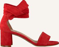 Rode NOTRE-V Sandalen 45146 - medium