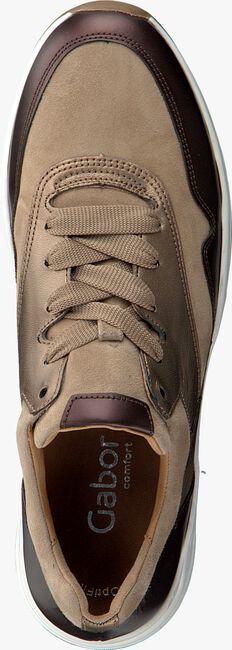 Camel GABOR Lage sneakers 305 - large