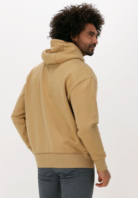 TOMMY JEANS Chandail TJM TINY TOMMY CIRCULAR HOODIE Kaki - large