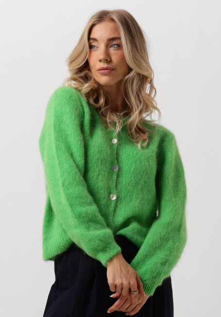 Groene AMERICAN DREAMS Vest SUSAN ALPACA CARDIGAN - large