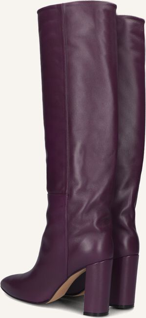 Paarse TORAL  12591 Paarse TORAL  12591 - large