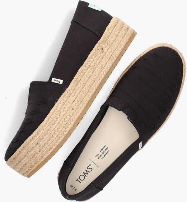 TOMS VALENCIA - large