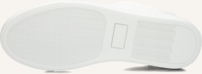 NOKWOL CONNOR NOKWOL CONNOR - large