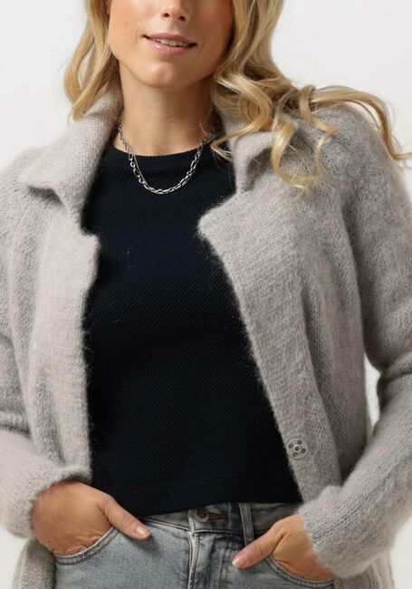 Lichtgrijze BELLAMY Vest MABEL - large