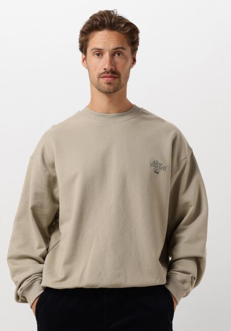 WOODBIRD Chandail WBCOPE EAT CREW en beige - large