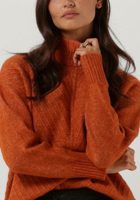 Bruine SELECTED FEMME Coltrui SIF SISSE LS KNIT HIGHNECK - large