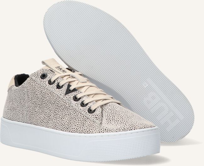 Beige HUB Sneakers HOOK-W PLATEAU DS Beige HUB Sneakers HOOK-W PLATEAU DS - large