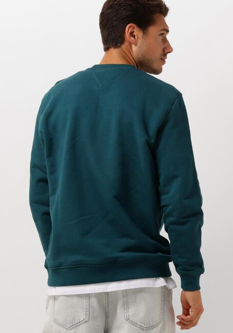 TOMMY JEANS Pull TJM REG BADGE CREW EXT en bleu - large