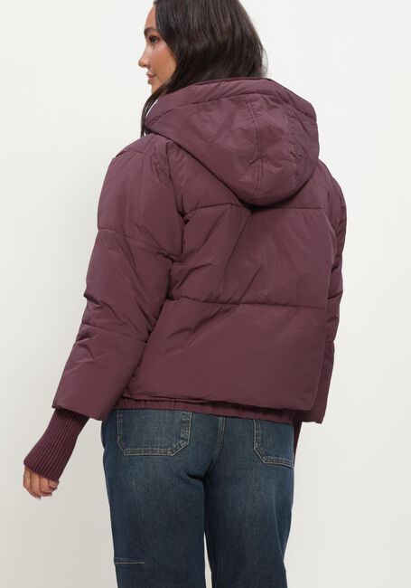 SILVIAN HEACH Veste matelass&eacute; PADDED JACKET NEDYALK Bordeaux - large