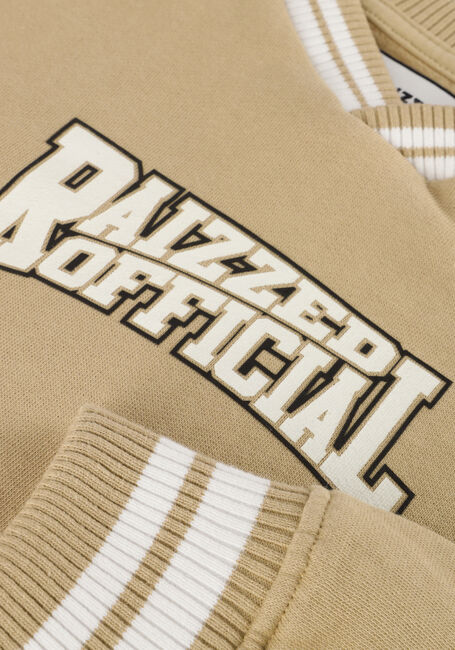 Taupe RAIZZED Truien/vesten AUSTIN - large