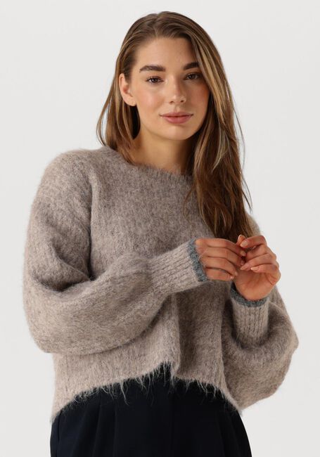 Bruine CO'COUTURE Truien/vesten CORALEE CROP KNIT - large