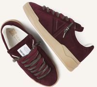 Bordeaux VIA VAI Sneakers SAM KYLI Bordeaux VIA VAI Sneakers SAM KYLI - medium
