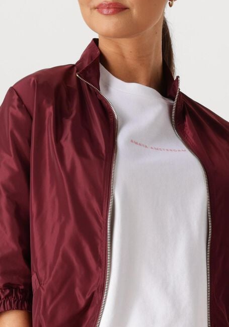 AMAYA AMSTERDAM Jack STORM Bordeaux - large