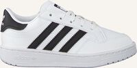 ADIDAS Baskets basses TEAM COURT C en blanc  ADIDAS Baskets basses TEAM COURT C en blanc  - medium