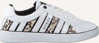 GUESS Baskets basses BOLIER en blanc  GUESS Baskets basses BOLIER en blanc  - medium