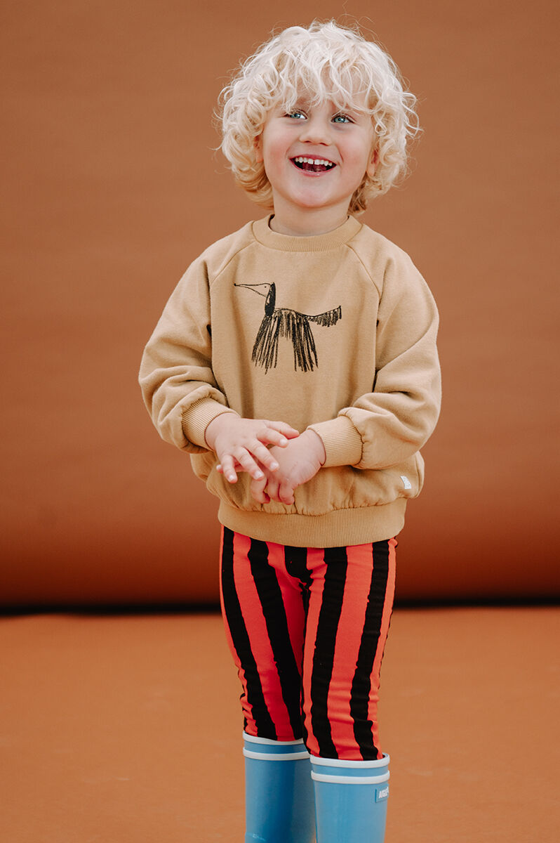 Sproet & Sprout Chandail SWEATSHIRT RAGLAN DOG Ocre - large