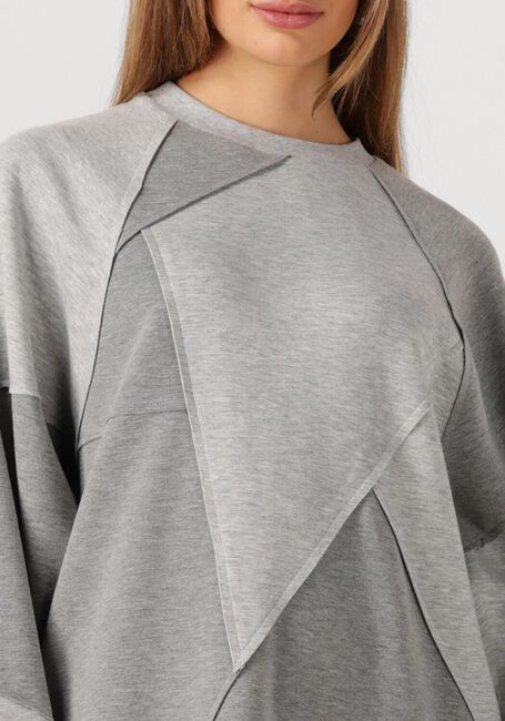 STUDIO AMAYA VIOLET Pulls & Gilets Gris clair - large