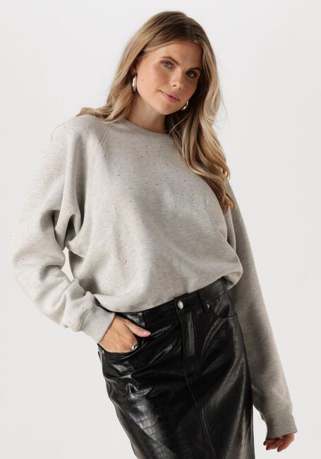 CATWALK JUNKIE Pull RELAXED RAGLAN SLEEVE SWEATER WITH STRASS en gris - large
