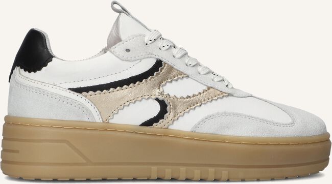 NOTRE-V ANEMONE-63 NOTRE-V ANEMONE-63 - large