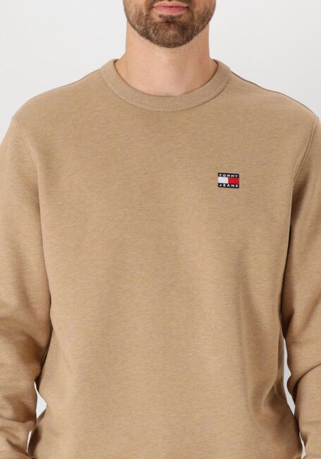 TOMMY JEANS Pull TJM REG BAGDE CREW EXT en marron - large