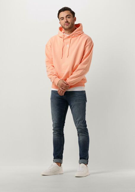 PURE PATH Pull HOODIE WITH BACK PRINT AND SMALL FRONTPRINT Corail - large