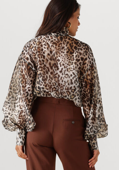 ACCESS D54-2197-268 Blouses en multicolore - large