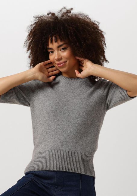 Grijze VANILIA Trui MAGNOLIA KNIT - large