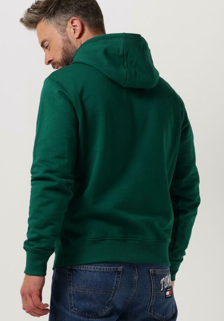 Donkergroene TOMMY JEANS Sweater TJM REG ESSENTIAL GRAPHIC HOODIE - large