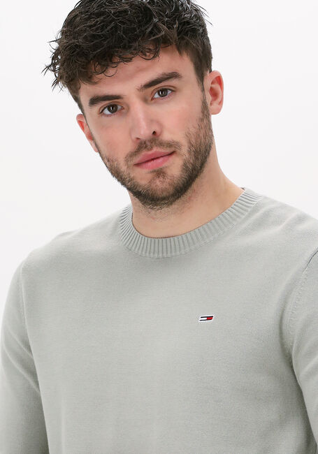 Groene TOMMY JEANS Trui TJM ESSENTIAL LIGHT SWEATER - large