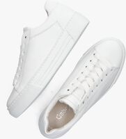 Witte GABOR Lage sneakers 460.1 - medium