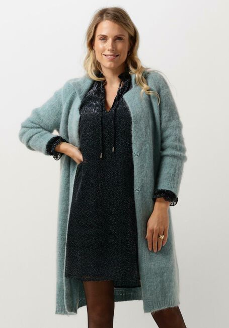 Blauwe BELLAMY Vest MABEL - large