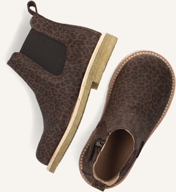 Bruine DU LOUA  DU COS Bruine DU LOUA  DU COS - large