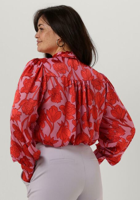 Fuchsia AAIKO  CHARLOTTA VIS 520 - large