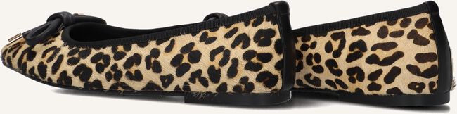 Beige STEFANO LAURAN Ballerina's SS36100 Beige STEFANO LAURAN Ballerina's SS36100 - large