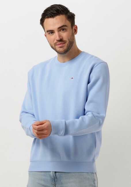 TOMMY JEANS Pull TJM REGULAR FLEECE C NECK en bleu - large