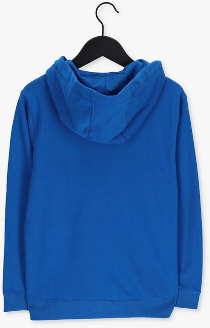 Blauwe VANS Sweater BY VANS CLASSIC PO II BOYS - large
