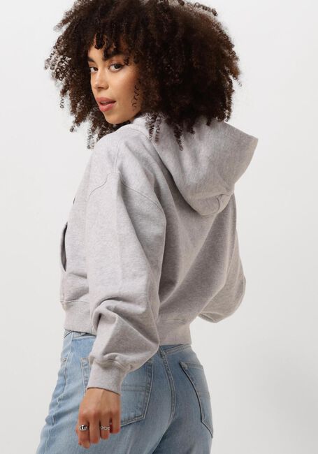 TOMMY JEANS Pull TJW VTG VARSITY 1 HOODIE Gris clair - large