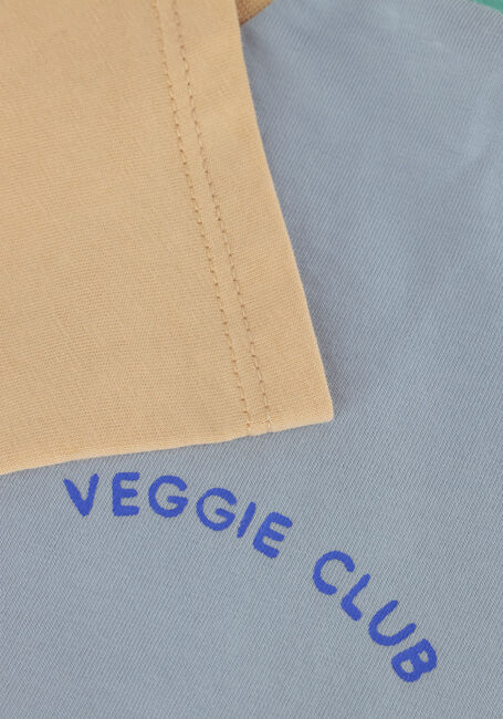 Blauwe Sproet & Sprout T-shirt T-SHIRT COLOURBLOCK Blauwe Sproet & Sprout T-shirt T-SHIRT COLOURBLOCK - large