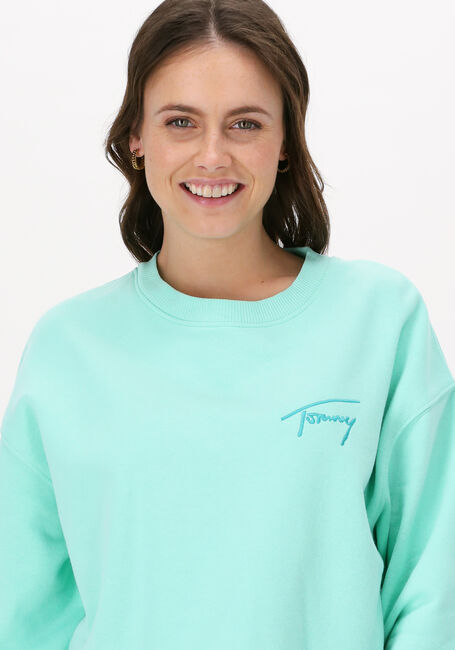 Mint TOMMY JEANS Sweater TJW CROP TOMMY SIGNATURE CREW - large