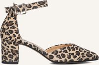 Beige NOTRE-V  12625 - medium