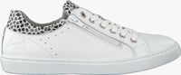 Witte BULLBOXER Lage sneakers AHM024 - medium