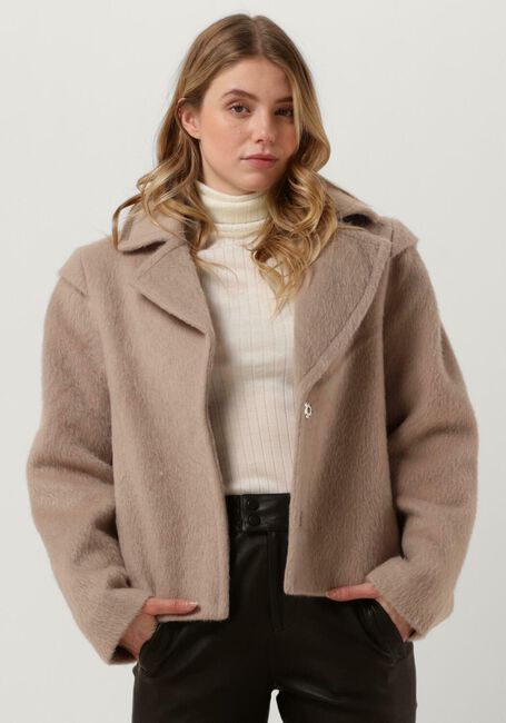 Camel IBANA Jack CALLETTA - large