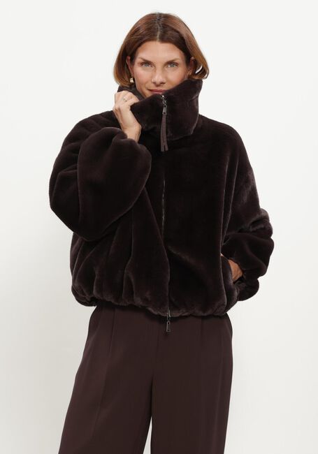 Bruine BEAUMONT Jassen MAXIE JACKET - large