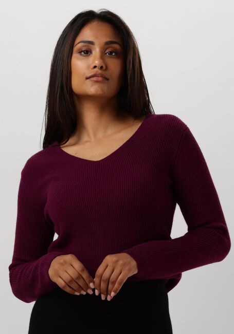 RESORT FINEST Pull V-NECK RIB KNIT en violet - large